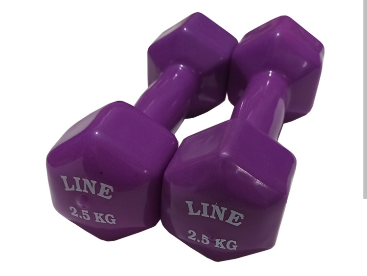 ارسال رایگان و اکسپرس دمبل 2ونیم